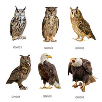 Hanging Owl and Eagle Garden Ornaments with Bells and Ribbons