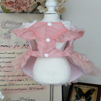 Handmade Sweet Mesh Doll Cat Golden Shaded Doll Outdoor Princess Dress