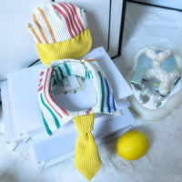 Pet Dog Cat Baseball Cap and Tie Set