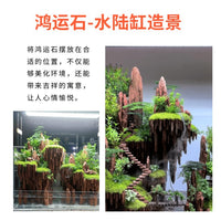 Lucky Stone Natural Raw Aquarium Decoration Micro Landscape Garden Rockery