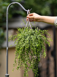 Juhan Outdoor Iron Art Ground Plug Hook for Garden Lanterns, Mosquito Coil Boxes, and Flower Pots