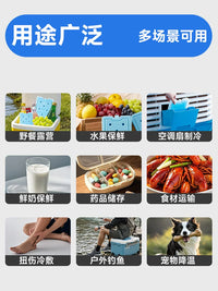 Reusable Ice Packs for Coolers, Portable Air Conditioners, and Pet Cooling - Various Sizes