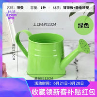 Garden Watering Can with Lid for Indoor and Outdoor Plants