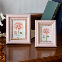 Decorative Money Display Frame for Banknotes and Collectibles