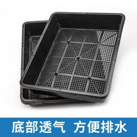 Seedling Tray Thickened Plastic Frosted Sprouting Tray for Microgreens Succulents