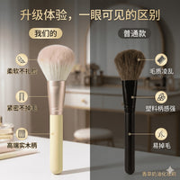 12-Piece Portable Makeup Brush Set with Eyeshadow, Powder, and Blush Brushes