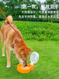 Portable Pet Water Bottle for Dogs and Cats - Foldable Outdoor Travel Drink Dispenser