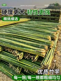 Bamboo Stakes for Garden Trellis, Vegetable Support, Cucumber and Bean Plant Climbing Frame, Small Bamboo Poles for Fences and Vines