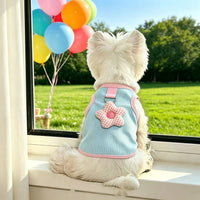 Pet Cat Dog Harness Vest with Leash for Small Dogs and Cats, Breathable Lightweight Apparel for Spring/Summer Outdoor Walks