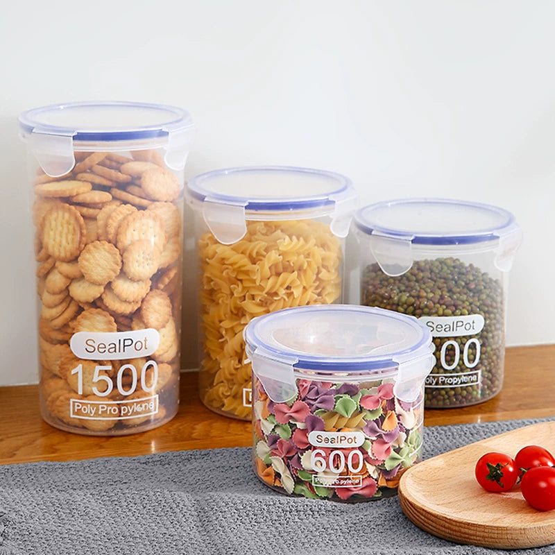 Large Seed and Nut Snack Storage Container with Lid