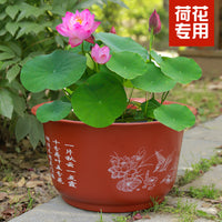 Thickened Imitation Ceramic Lotus Planter Bowl for Hydroponic Plants