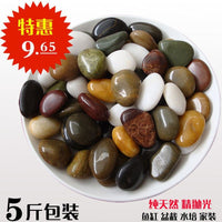 Polished Natural Pebble Stones for Landscaping, Aquariums, and Garden Decor