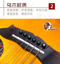 San Marco Acoustic Guitar Bridge Pins - Set of 6