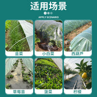 Mini Greenhouse Hoop Frame Kit for Home Garden, Vegetable Plant Cover, Warmth Preservation, Flower Stand, Complete Set