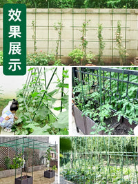 Garden Planter Box Trellis Support for Climbing Plants, Vegetables, and Flowers