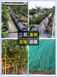 Heavy-Duty Weed Barrier Fabric for Orchards & Gardens, Permeable & UV Resistant Ground Cover