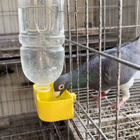 Automatic Bird Water Feeder for Parrots, Pigeons, and Small Birds, Cage-Mounted Drinker