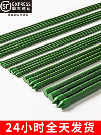 Plant Support Stakes for Climbing Vines, Vegetables, and Flowers - Garden Trellis Kit
