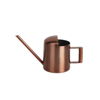 Mini Stainless Steel Watering Can for Indoor Plants & Succulents, Small Garden Sprinkler Pot