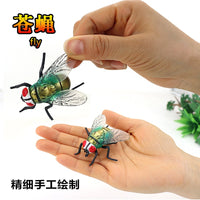 Insect Life Cycle Figurines Educational Toy Set