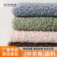 Lamb Wool Fleece Fabric for Fashion Apparel, Bags, Shoes, Hats, Toys, and Pet Beds