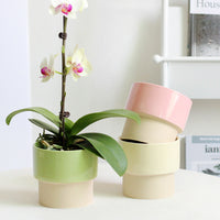 Nordic Ceramic Planter Pot for Succulents Orchids Hydroponics - Pink