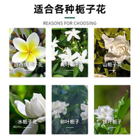 Gardenia Liquid Fertilizer for Acid-Loving Plants, Promotes Flowering and Prevents Yellow Leaves