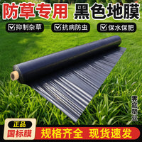 Black Agricultural Mulch Film for Weed Control, Greenhouse Planting, Thermal Insulation, and Moisture Retention