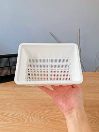 Mini Seedling Trays with Lids for Succulents and Lithops, Thickened Plastic Propagation Planter