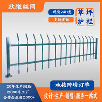 Galvanized Steel Lawn Edging Fence for Gardens, Parks, and Residential Green Spaces