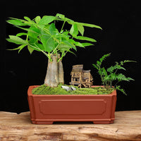 Mini Zisha Clay Square Planter for Succulents & Bonsai, Desktop Decorative Pot