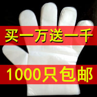 Disposable PE Plastic Gloves for Food Handling, Hair Dyeing, and Beauty Treatments - 1000 Count Pack