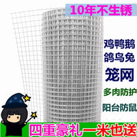 Galvanized Steel Wire Mesh Fence for Poultry and Rodent Protection, Small Grid Iron Netting for Balcony Guardrail