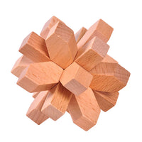 Adult Wooden Brain Teaser Puzzle Kongming Luban Lock