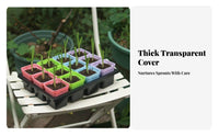 12 Cell Seedling Tray with Dome Transparent Lid Growing Kit Reusable Mini Greenhouse Propagator for Beginners