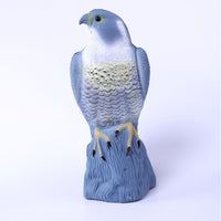 Eagle Bird Repellent Decoration for Garden and Park, PE Blow Molded, Factory Direct