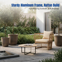 Outdoor Rattan Sofa, Garden Patio Furniture, Waterproof & Sun-Resistant, Modern Wicker Couch, Aluminum Frame