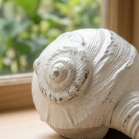 Conch Shell Planter Decorative Succulent Planter Beach Themed