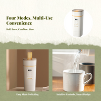 Foldable Electric Kettle, Portable, Stainless Steel, Camping