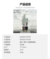 仿真绿植榕树海棠多肉仙人掌 小盆栽 圆叶植物网红办公桌面室内