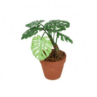 Mini Monstera Plant 1:12 Scale House Decor Textured