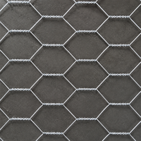 Gabion baskets, stone baskets, hot-dip galvanized gabion wire mesh, 6mm wire diameter, hexagonal for garden owners