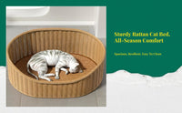 Woven cat bed with removable cushion