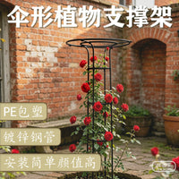 伞形植物花架月季金银花爬藤架铁线莲阳台户外庭院固定支撑杆