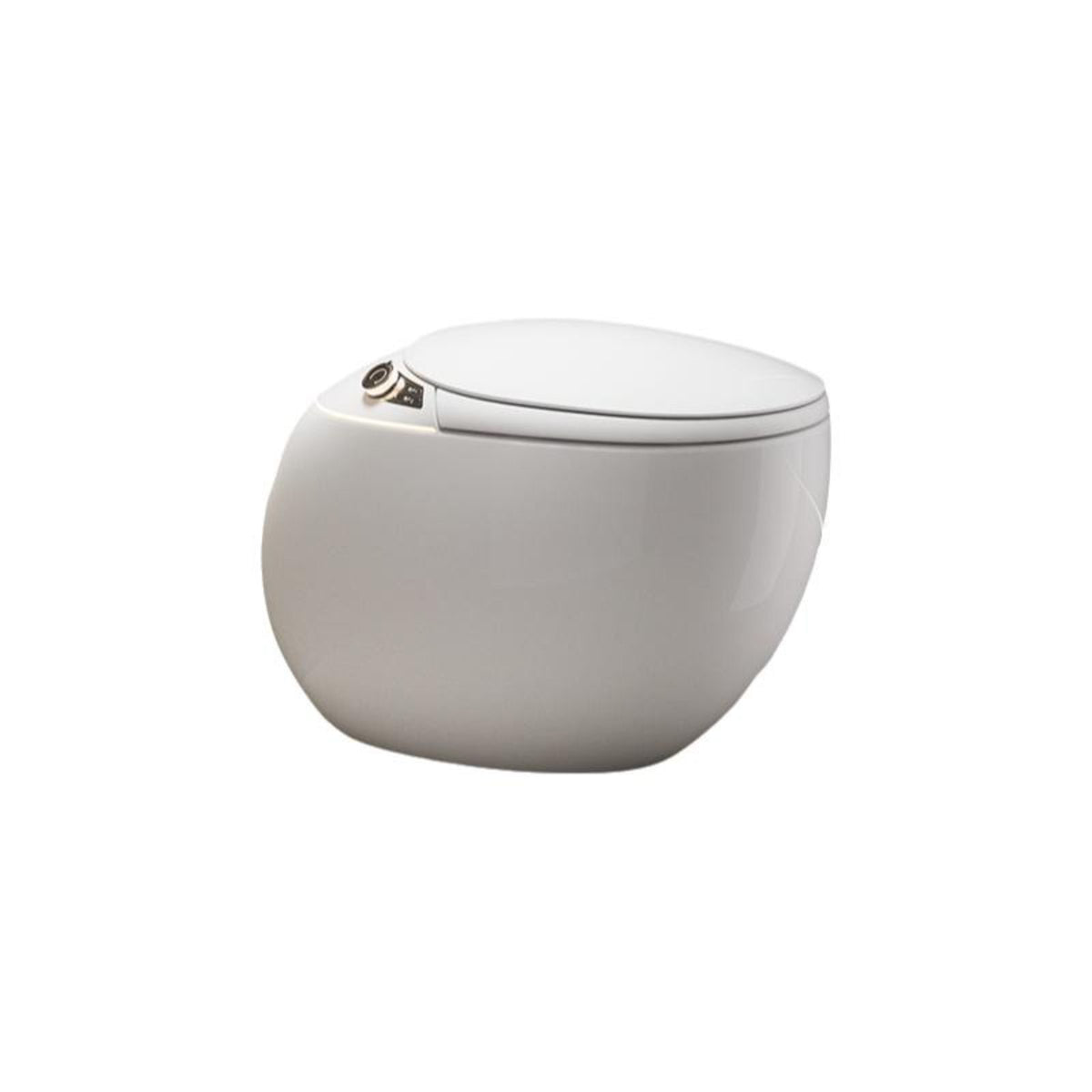 Bidet toilet with heated seat.