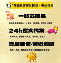 宠物防误食头套猫咪防咬小型狗狗球形套防抓圈透明猫项圈太空头罩