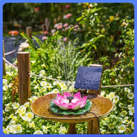Bird Bath water feature with Lotus Flower Spray, built-in Pump Brushless Motor, Decorative water feature for Pond Oxygenation Garden
