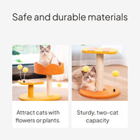 Cartoon Cat Tree Condo with Scratching Post