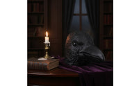 Black Crow Head Mask  Realistic  Crow Face Covering Adult Sized for Cosplayers, Halloween, Theater