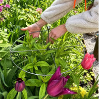 跨境新品 Plant Support 圆形植物支撑植物爬藤架小杆子